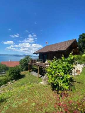 Le petit chalet des Greys